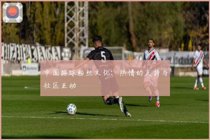 中国排球粉丝文化：热情的支持与社区互动