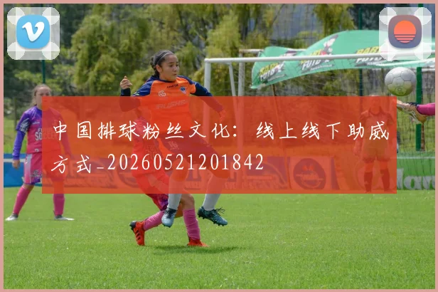 中国排球粉丝文化：线上线下助威方式_20260521201842